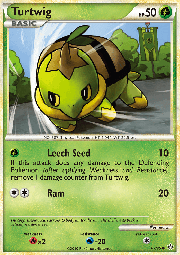 Turtwig