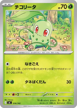 Chikorita