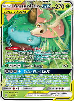 Venusaur & Snivy GX